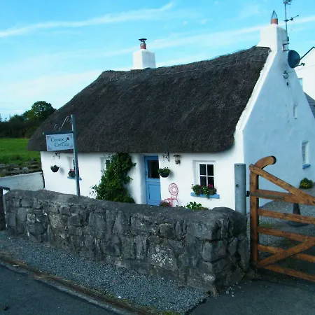 Tonroe Holiday * Ard Raithin